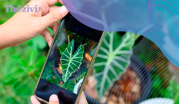 aplicativo-para-identificar-plantas