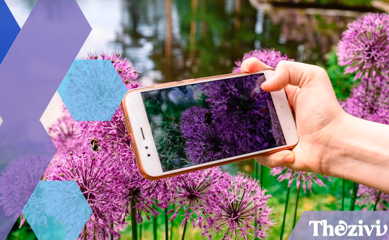 aplicativo-para-identificar-plantas